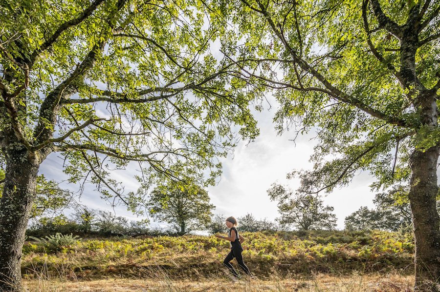 course foret vendee gaubre trail