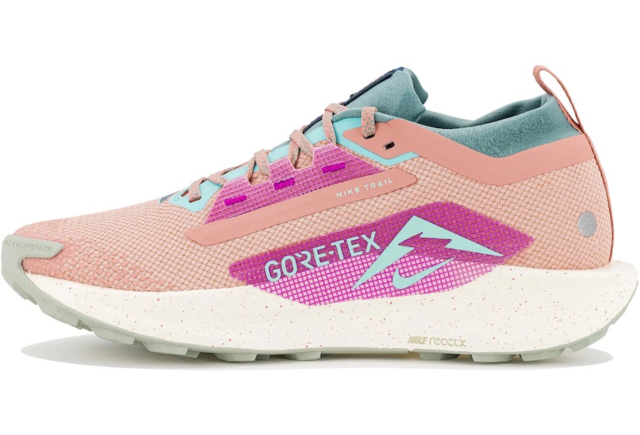 profil nike pegasus trail 5 gore tex