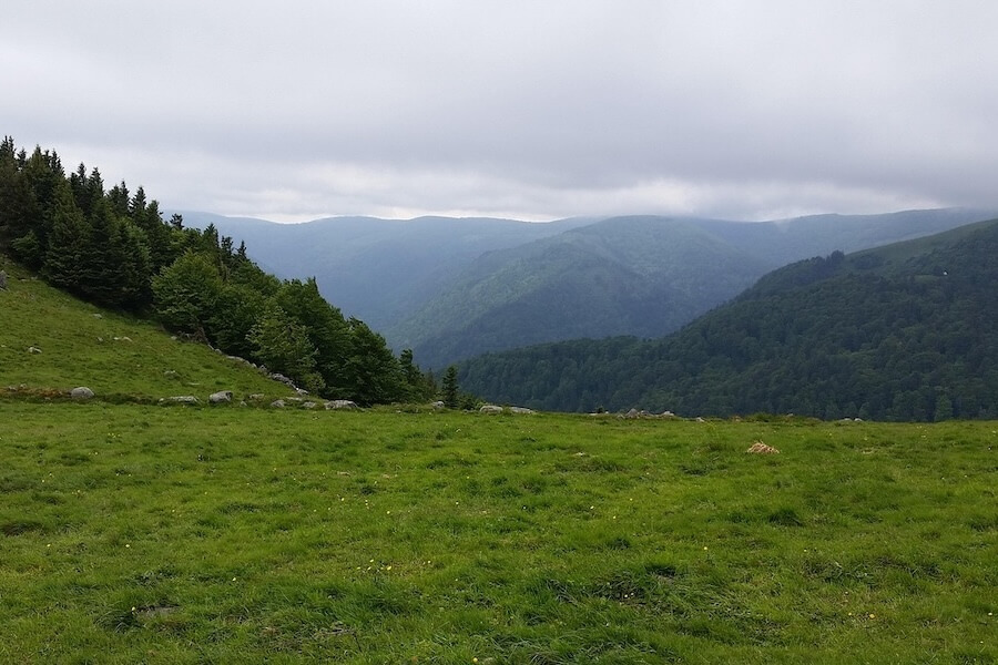 course vosges infernal trail